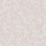 R106008