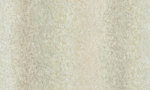 A55209