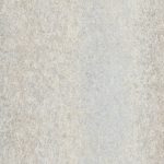 A55206