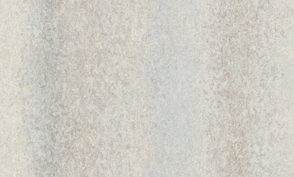 A55206