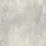 IC 1205