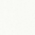 R101001
