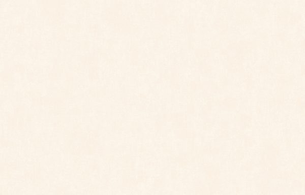 ARTS13 101/2