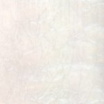 Carta Papiro