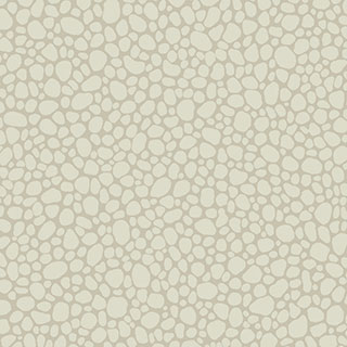 Landscape Plains