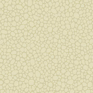 Landscape Plains