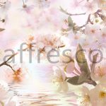 Цветущие ветки сакуры у воды ,  арт. 7124