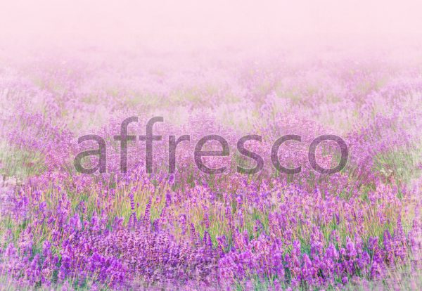 Фрески, Каталог Фотоискусство, арт. 9716