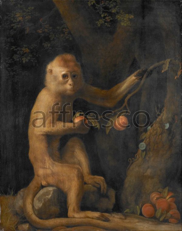 Картина: George Stubbs, A Monkey