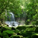 Фрески, Каталог Фотоискусство, арт. ID10419