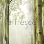 Фрески, Каталог Фотоискусство, арт. ID10907
