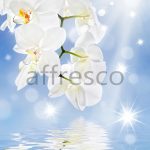 Отражение белой ветки орхидеи ,  арт. ID11769