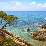 Фрески, Каталог Фотоискусство, арт. ID12050