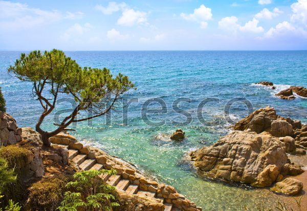 Фрески, Каталог Фотоискусство, арт. ID12050