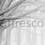 Фрески, Каталог Фотоискусство, арт. ID12421