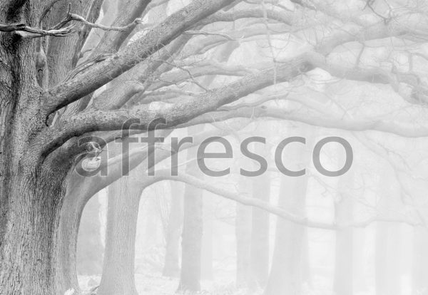 Фрески, Каталог Фотоискусство, арт. ID12421