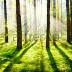 Фрески, Каталог Фотоискусство, арт. ID12500