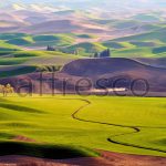 Фрески, Каталог Фотоискусство, арт. ID12558