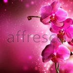 Веточка орхидеи ,  арт. ID12709