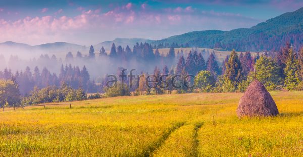 Фрески, Каталог Фотоискусство, арт. ID13452