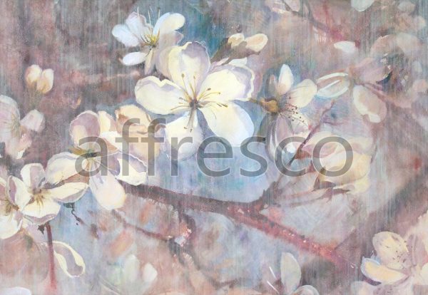 Цветы сакуры ,  арт. ID13489