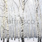 Фрески, Каталог Фотоискусство, арт. ID13531