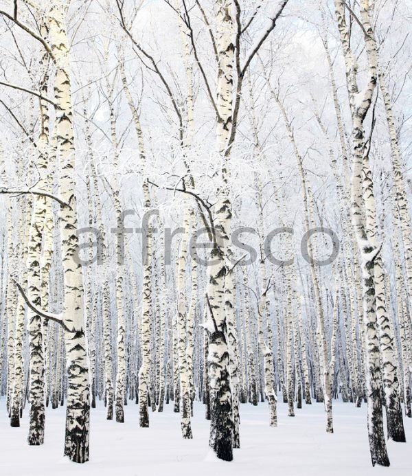 Фрески, Каталог Фотоискусство, арт. ID13531