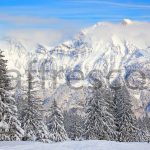 Фрески, Каталог Фотоискусство, арт. ID13534