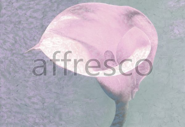 Цветок каллы , арт. ID135578