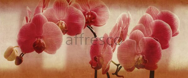 Цветы на ветке орхидеи , арт. ID135671