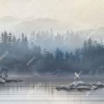 Аист на водоеме ,  арт. ID137767