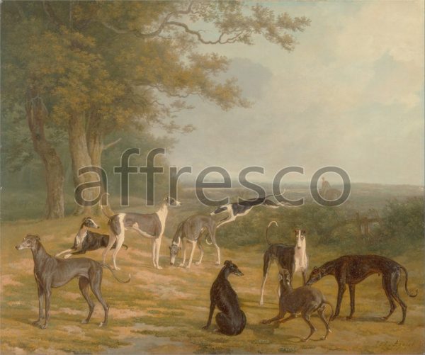 Картина: Jacques Laurent Agasse, Nine Greyhounds in a Landscape