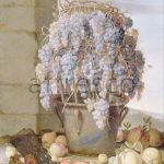 Картина: Luca Forte, Still Life with Grapes and other Fruit