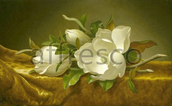 Картина: Martin Johnson Heade, Magnolias on Gold Velvet Cloth