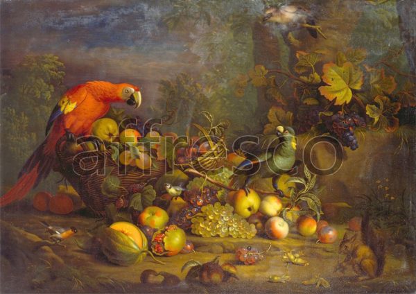 Картина: Tobias Stranover, Parrots and Fruit with Other Birds and a Squirrel