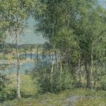 Картина: Уиллард Меткалф, A Family of Birches