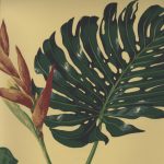 Boussac Wallpapers I
