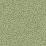 Landscape Plains