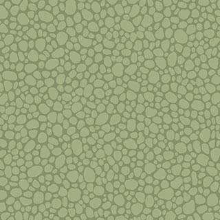Landscape Plains