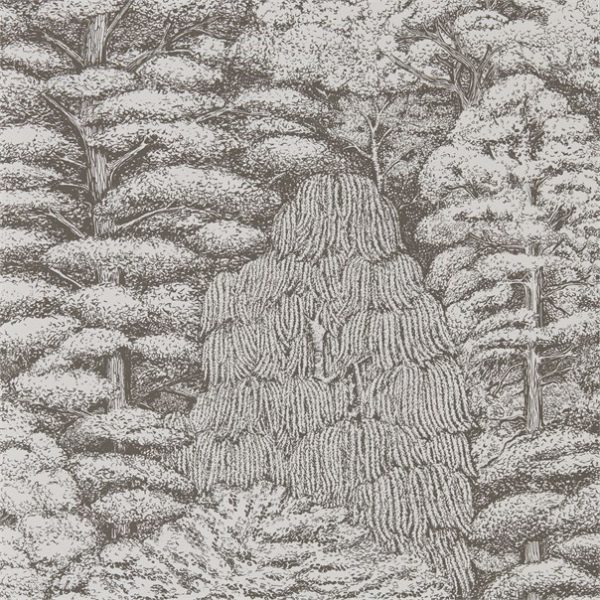 Woodland Walk