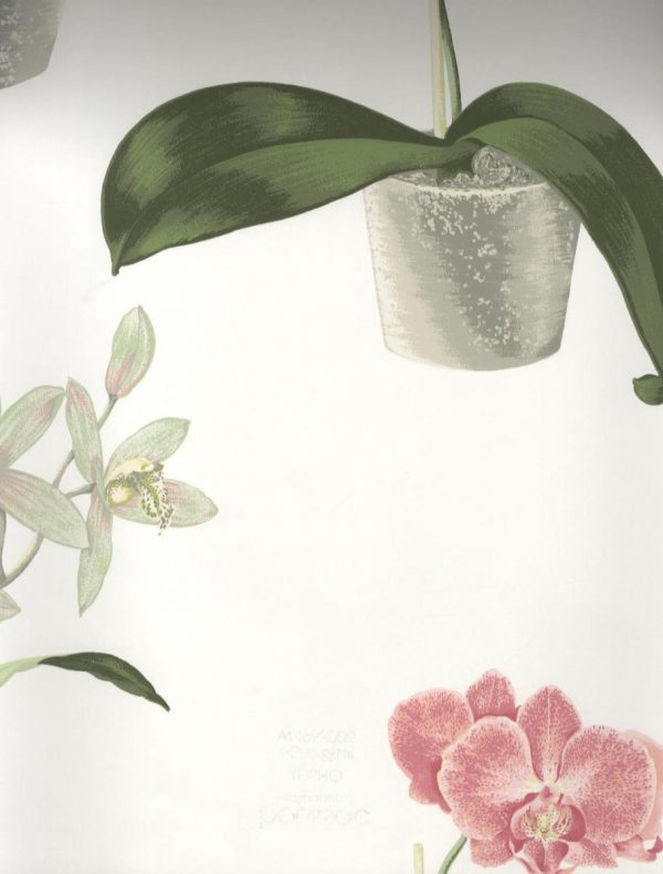 Boussac Wallpapers I