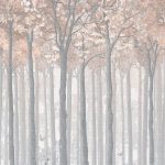 Фрески, Каталог Ботаника, арт. ID135984
