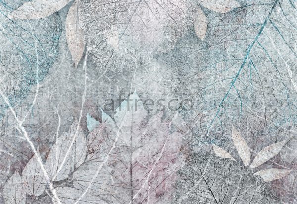 Сухие листья ,  арт. ID136304