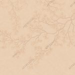Фрески, Каталог Ботаника, арт. ID139150