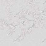 Фрески, Каталог Ботаника, арт. ID139153